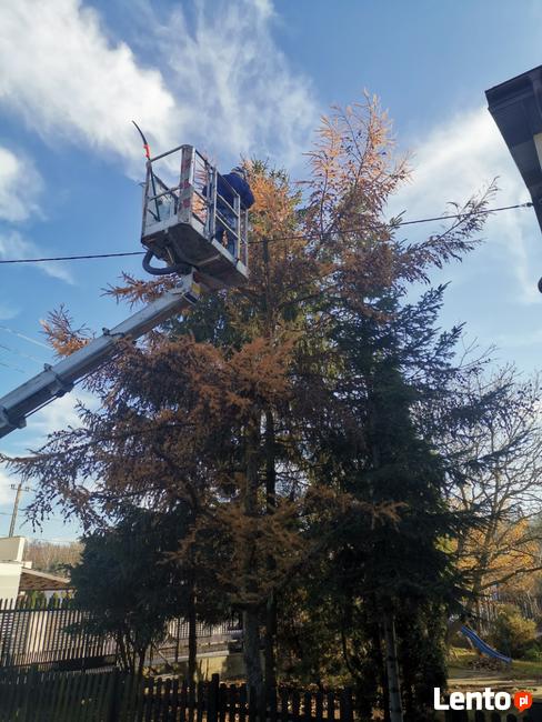 Transport, utylizacja gałęzi, drzewa, odpadów zielonych. Gab