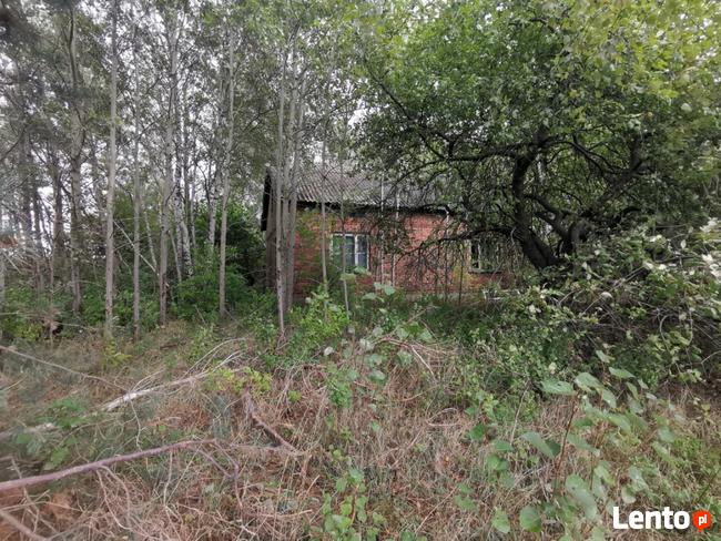 Transport, utylizacja gałęzi, drzewa, odpadów zielonych. Gab