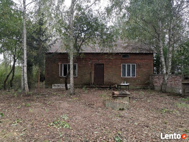 Transport, utylizacja gałęzi, drzewa, odpadów zielonych. Gab