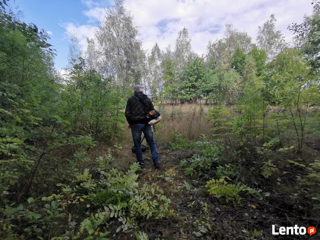 Transport, utylizacja gałęzi, drzewa, odpadów zielonych. Gab