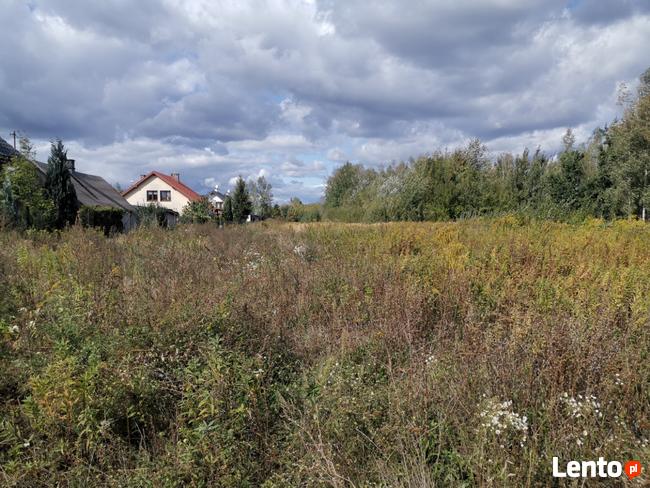 Transport, utylizacja gałęzi, drzewa, odpadów zielonych. Gab
