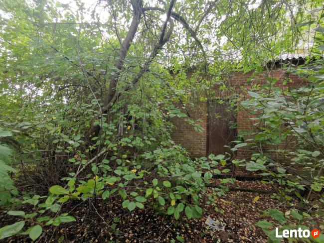 Transport, utylizacja gałęzi, drzewa, odpadów zielonych. Gab