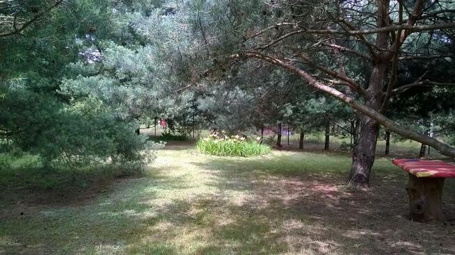 Działka z domem nad zal. Jeziorsko. Gotowa do zamieszkania.