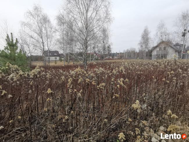 Transport, utylizacja gałęzi, drzewa, odpadów zielonych. Gab