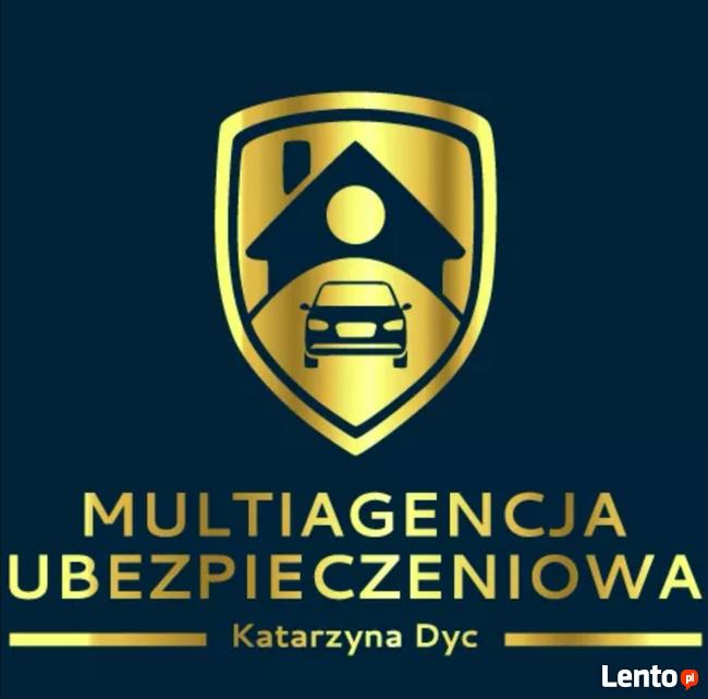 Rejestracja pojazdów, akcyza, ubezpieczenia Gniezno, tlumacz