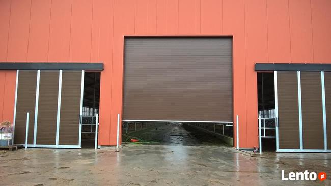 Drzwi inwentarskie rolnicze od producenta