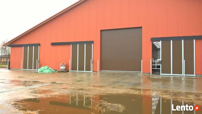 Drzwi inwentarskie rolnicze od producenta