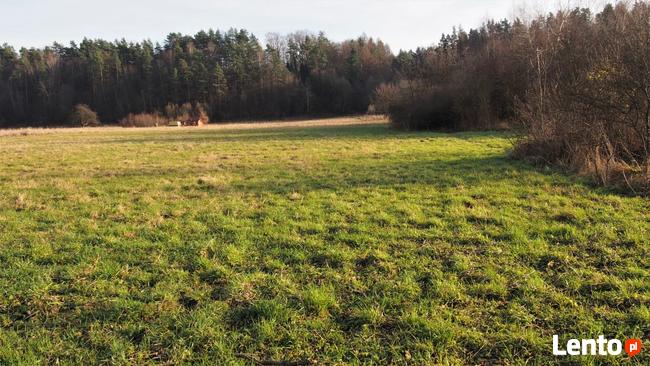 Działka budowlana Lesko Wola Postołowa 18 ar