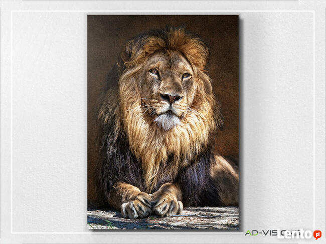 Obrazy canvas, indywidualna grafika, zdjęcie na płótnie,