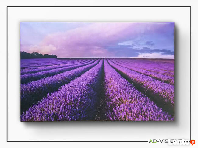 Obrazy canvas, indywidualna grafika, zdjęcie na płótnie,