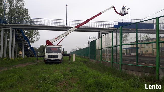 podnośnik koszowy, zwyżka, wysięgnik, wycinka drzew