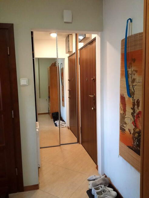 Pyc. Bepc. BEZ KAUCJI 1-osobowy pokój 12 m2 na Ruczaju