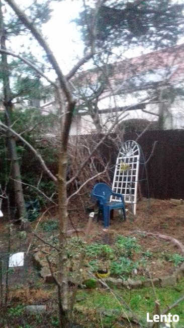 Likwidacja komarów kleszczy karaluchów gryzoni 605325849