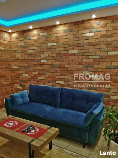 Cegła cięta środkowa Płytki z cegły gładkie FROMAG