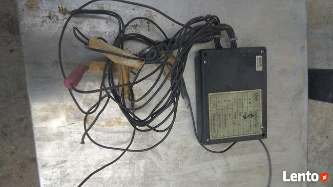 Imobilaizer silikon pchełka