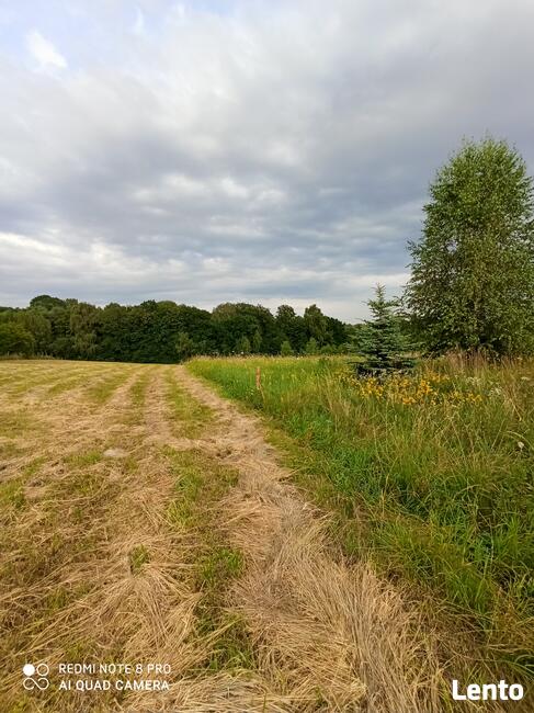 DZIALKI NA SPRZEDAŻ.