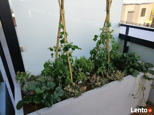 DONICE IMITACJA BETONU, TARASOWE, NA WYMIAR