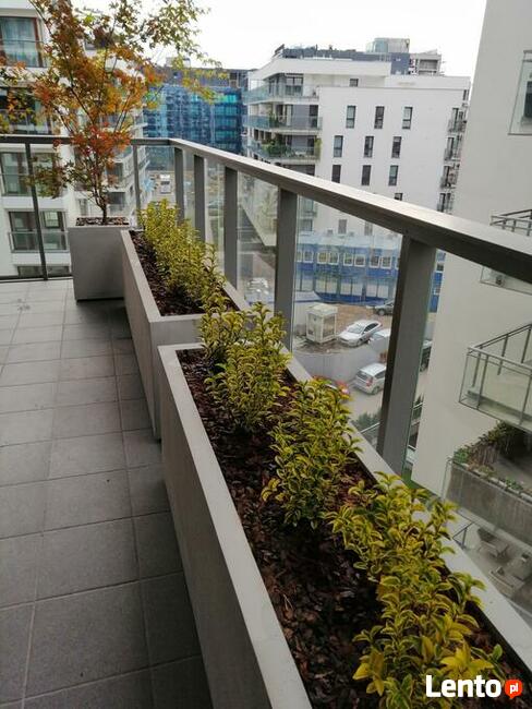 DONICE IMITACJA BETONU, TARASOWE, NA WYMIAR