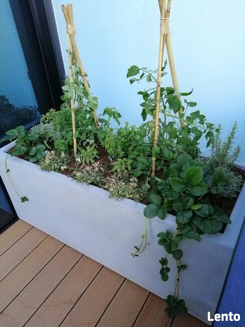 DONICE TARASOWE, NA WYMIAR, BALKONOWE