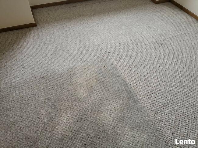 Karcher Śrem tel 605-412-568 pranie tapicerki wykładzin