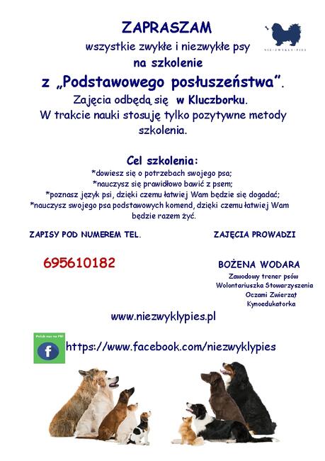 Trener psów Kluczbork, Szkolenia psówKluczbork, Behawiorysta