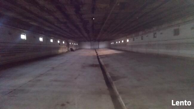 Sprzedam 4 hale +ziemia o łącznej pow. 7 Ha przy S-3