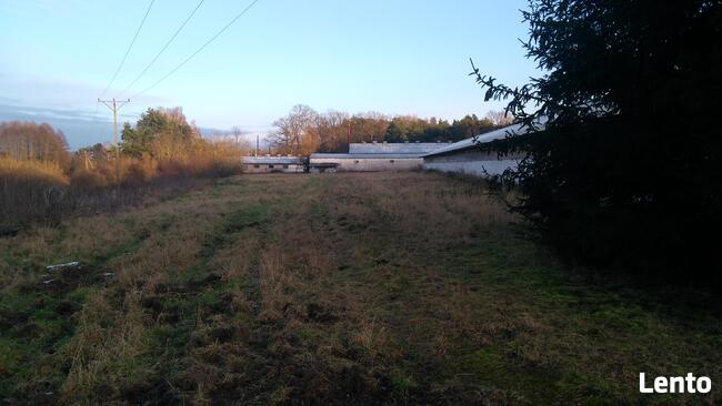 Sprzedam 4 hale +ziemia o łącznej pow. 7 Ha przy S-3