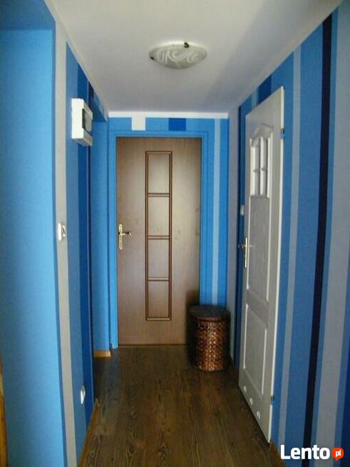 Malowanie ścian, remont, fachowiec, malowanie fantazyje