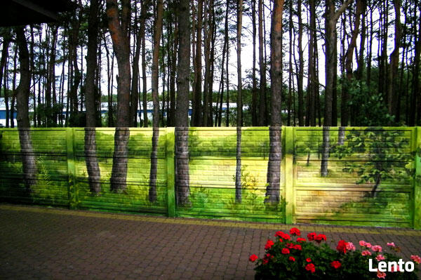 Malunki na ścianę, artystyczne malowanie ścian, murale
