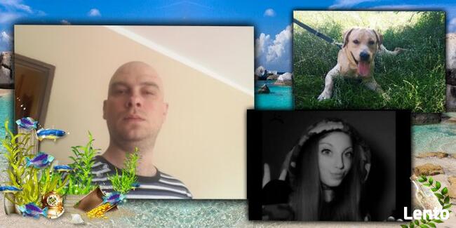 Szukam fajnej kobiety.