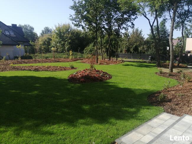 Zakładanie ogrodów, projektowanie, roboty koszące