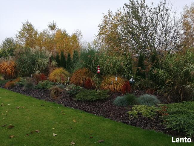 Projektowanie ogrodów