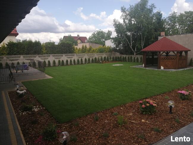 Zakładanie ogrodów, projektowanie, roboty koszące