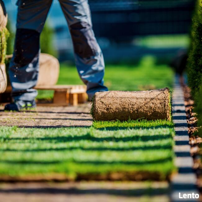 Trawnik z rolki z montażem i fakturą
