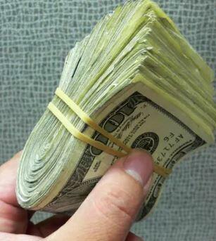 5 x WASABI PLANTS japan sushi sadzonki seed farm