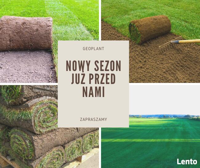 Trawnik z rolki z montażem i fakturą