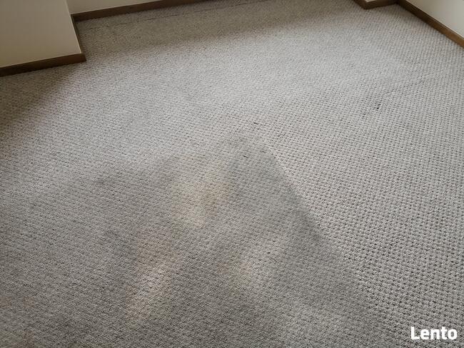 Karcher Borówiec tel 661-373-424 pranie wykładzin tapicerki