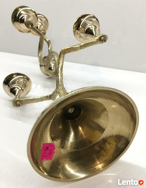 Indyjski świecznik drzewo