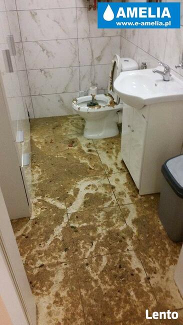 Sprzątanie po zalaniu / osuszanie po zalaniu Nowa Sól