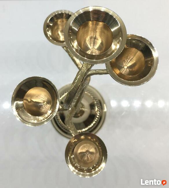 Indyjski świecznik drzewo