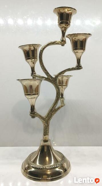 Indyjski świecznik drzewo