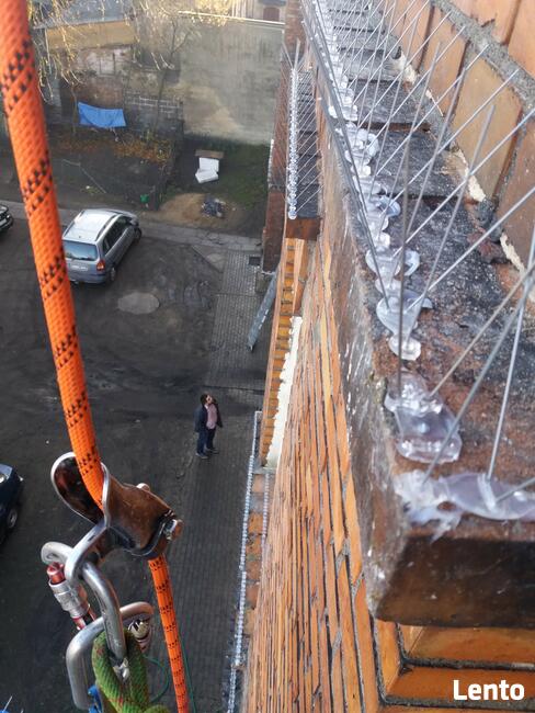Mycie Okien na każdej wysokośći