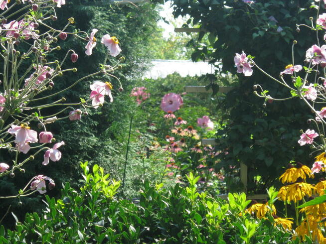 ogród działka 390 m2