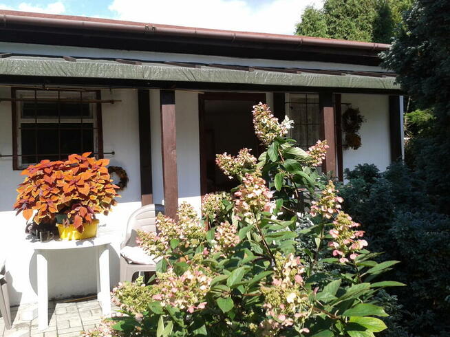 ogród działka 390 m2