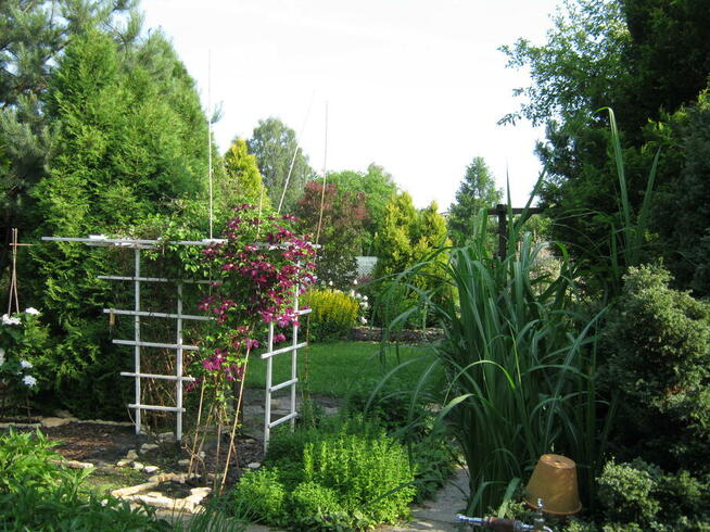 ogród działka 390 m2