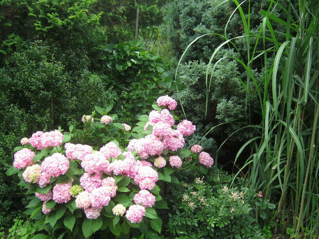 ogród działka 390 m2