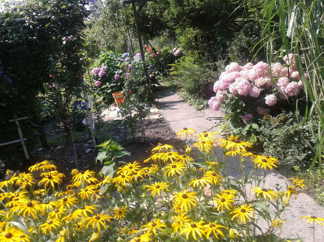 ogród działka 390 m2