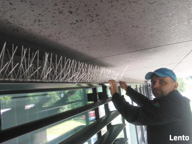 Mycie Okien na każdej wysokośći