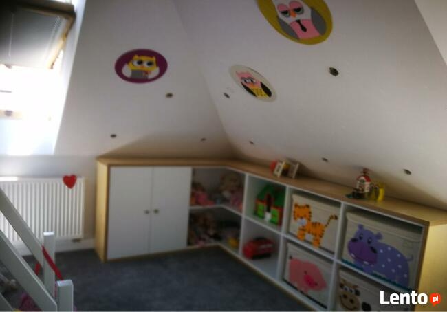 Zwalczanie kuny domowej , wdmuchiwanie celulozy , Naprawy