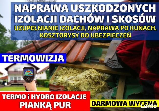 Zwalczanie kuny domowej , wdmuchiwanie celulozy , Naprawy